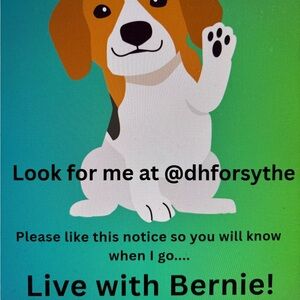 One click to endless possibilities……⭐️⭐️⭐️⭐️!